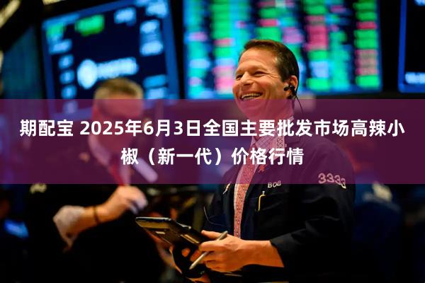 期配宝 2025年6月3日全国主要批发市场高辣小椒（新一代）价格行情