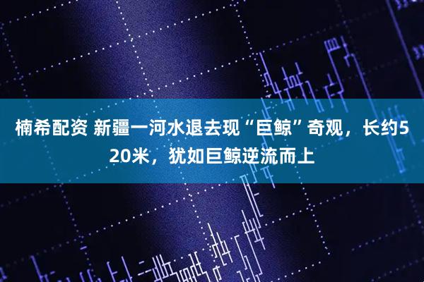 楠希配资 新疆一河水退去现“巨鲸”奇观，长约520米，犹如巨鲸逆流而上