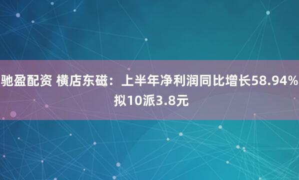驰盈配资 横店东磁：上半年净利润同比增长58.94% 拟10派3.8元