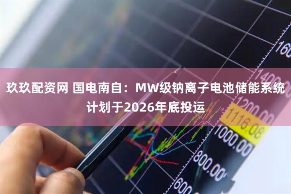 玖玖配资网 国电南自:MW级钠离子电池储能系统计划于2026年底投运
