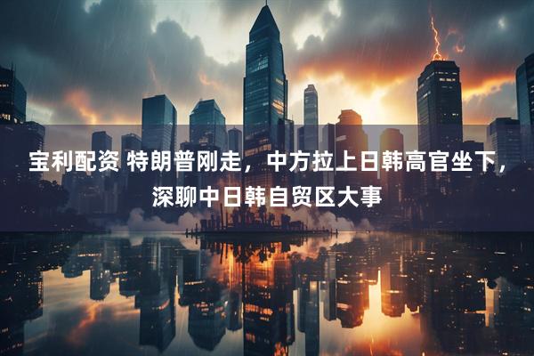 宝利配资 特朗普刚走，中方拉上日韩高官坐下，深聊中日韩自贸区大事